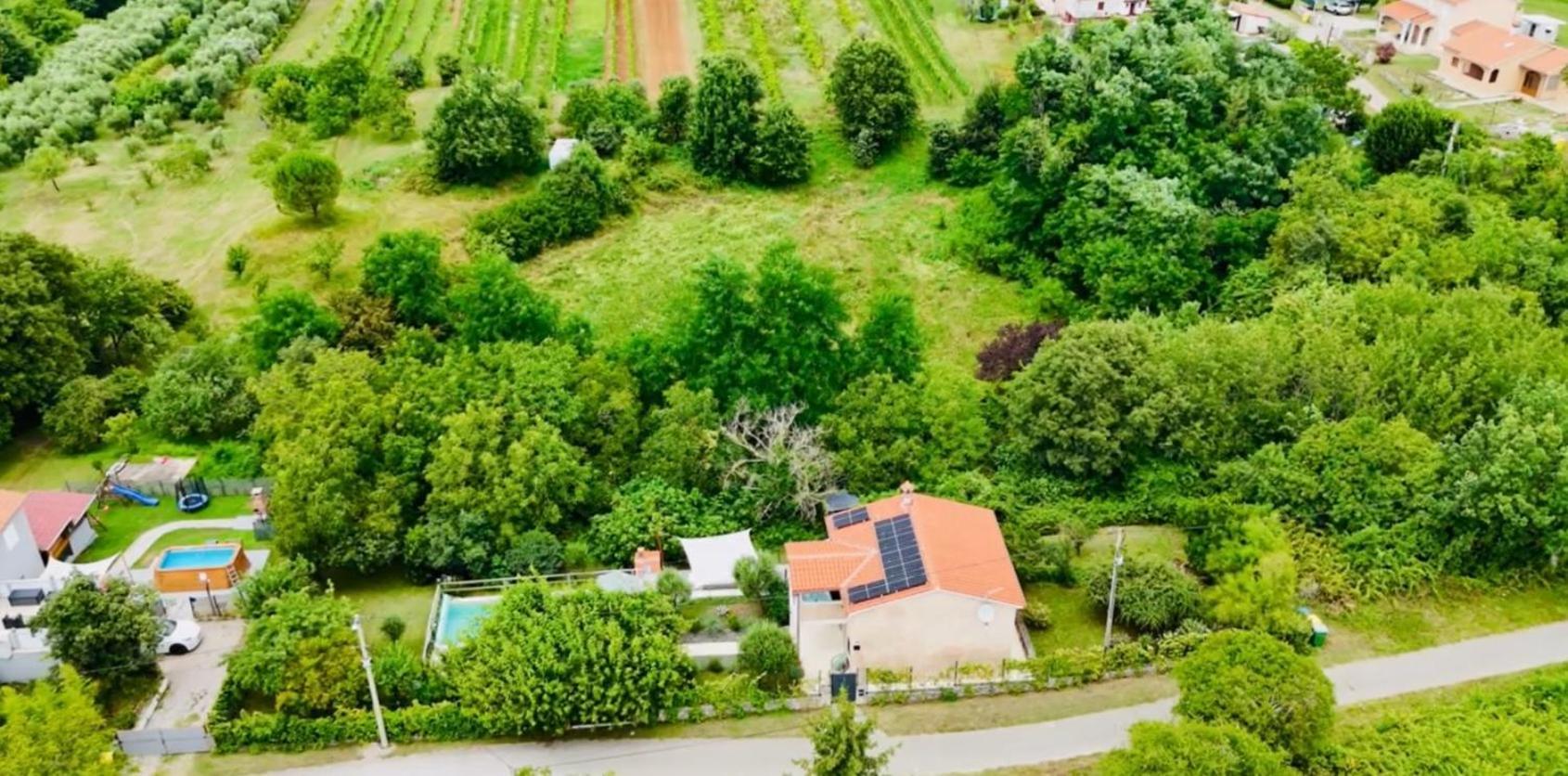 Wellness House Oliva With Heated Salt Water Pool, Sauna & Jakuzzi Labin  Exteriér fotografie